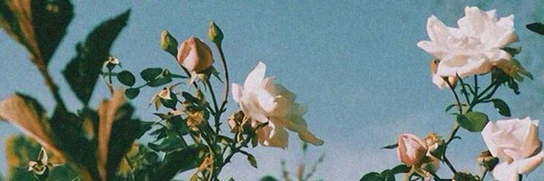 5sosftblast Profile Banner