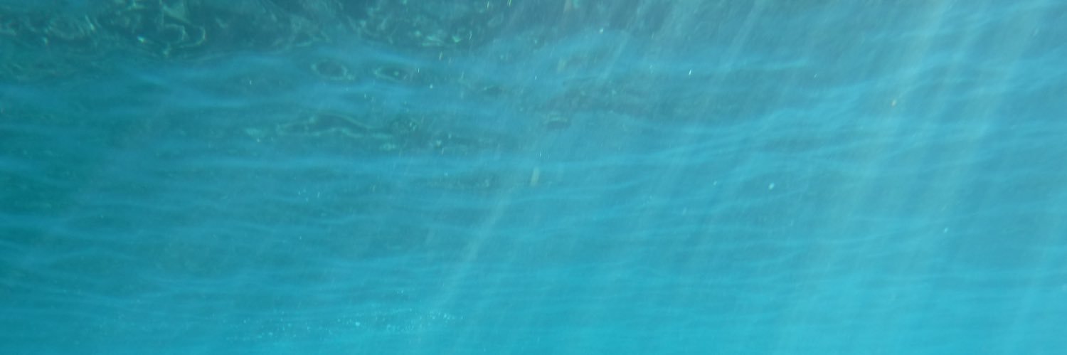 Brian Granger banner