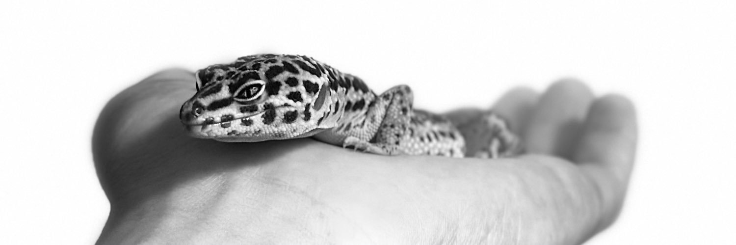 🅽🅸🅲🅺 | @weitwinkel2 banner