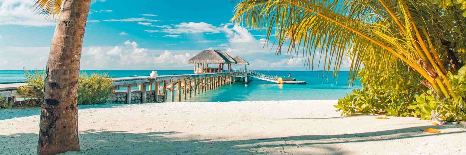 The Creative Degen banner