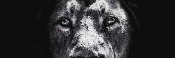 AhmOusman's profile banner image