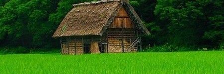 IrMinarni's profile banner image