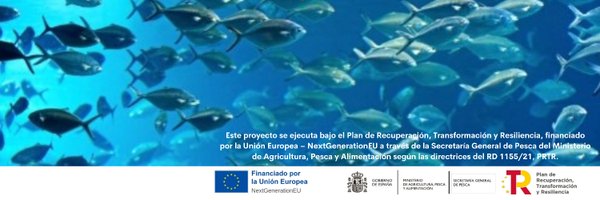 BlueFishingT Profile Banner