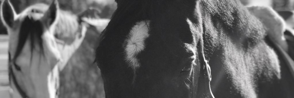 DZierold's profile banner image
