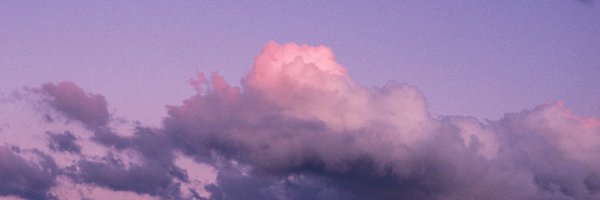 selenereads Profile Banner