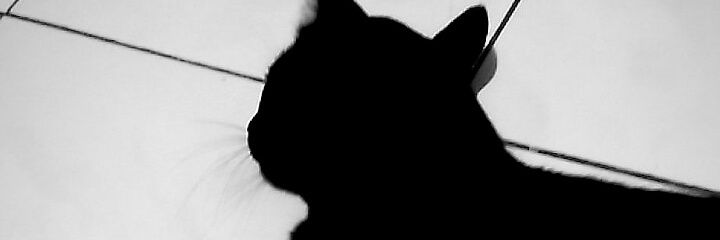 drryfrhn's profile banner image