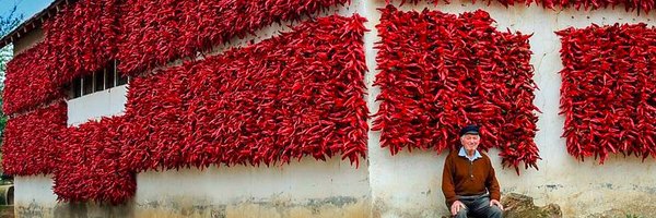 see_eliamep Profile Banner