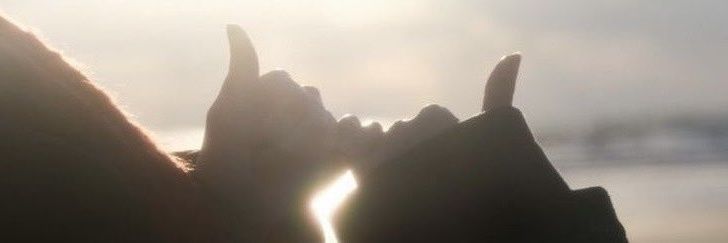 olivia 💜 banner