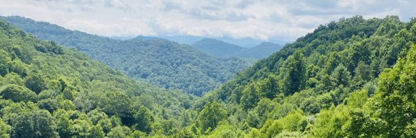 HarrietHoweBks Profile Banner