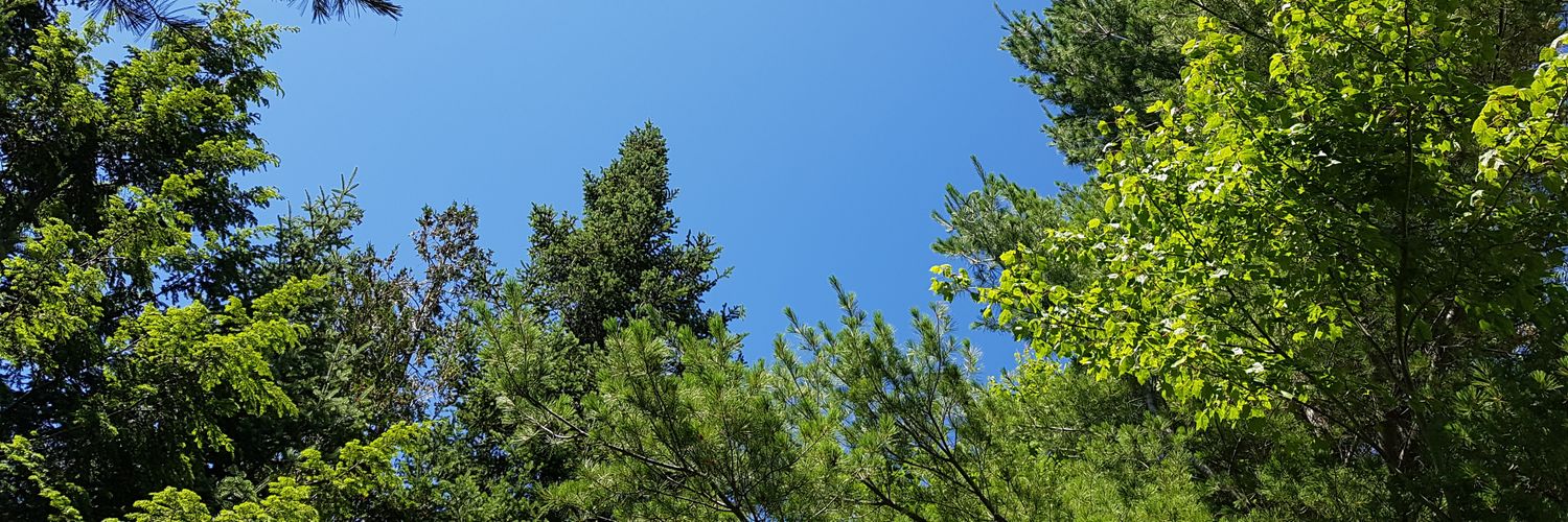 Patrick Labelle banner