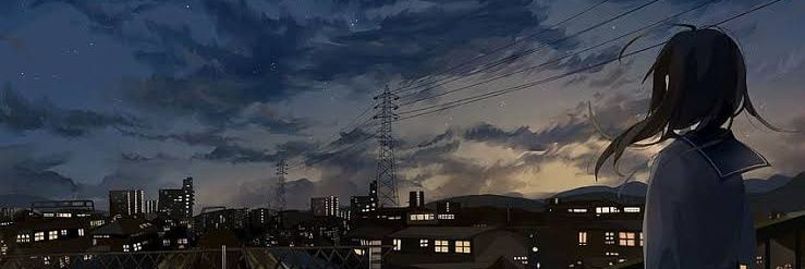 Fikk banner
