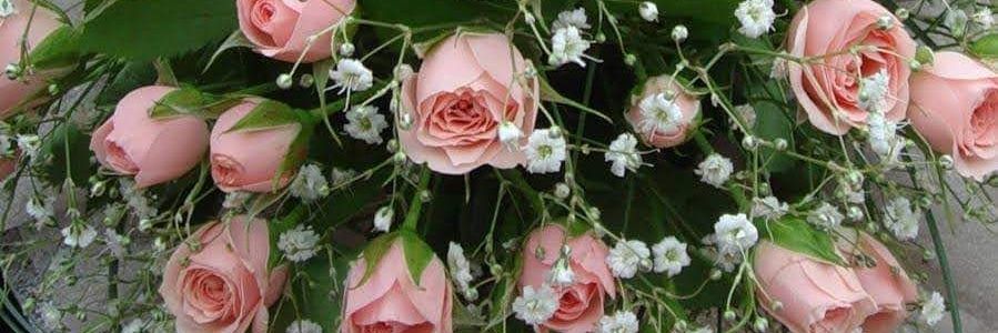 Margarita Martinez banner