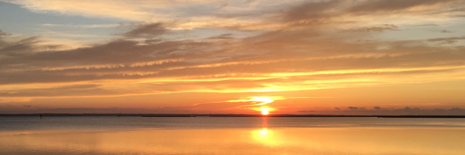 SuzetteNeff's profile banner image