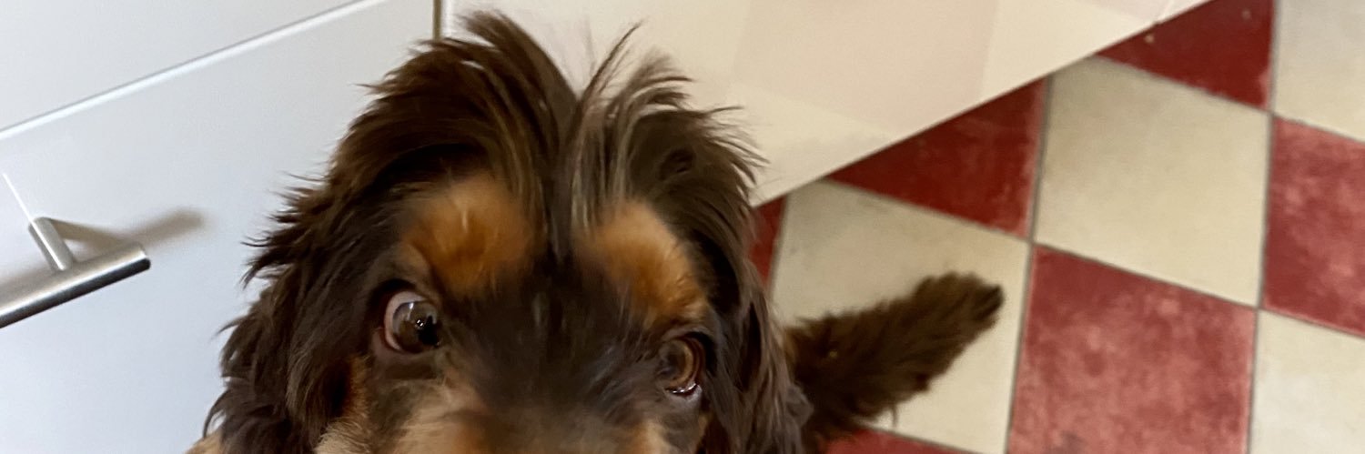 RobertLeCocker banner