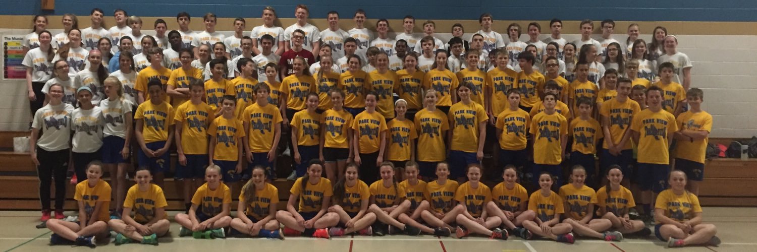 PVMSTrack's profile banner image