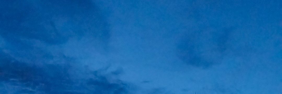 dthy banner