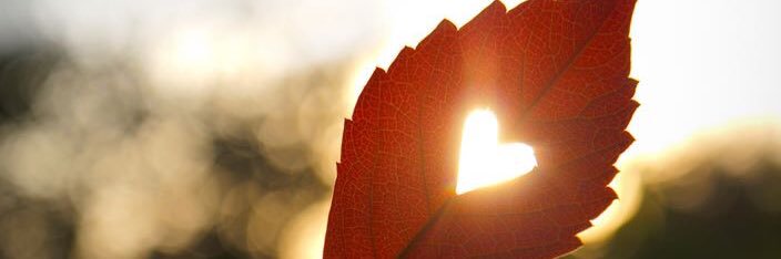 MarcellaSan3's profile banner image