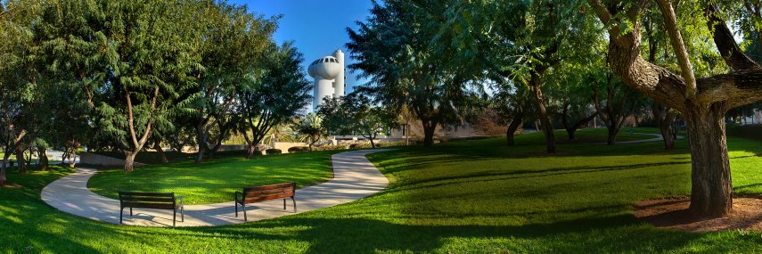 Milo Lab @WIS banner