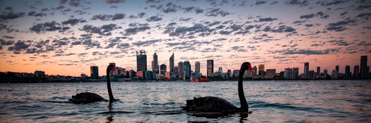 Chris Dorian 🦇🔊 banner