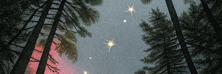 leifrompluto's profile banner image