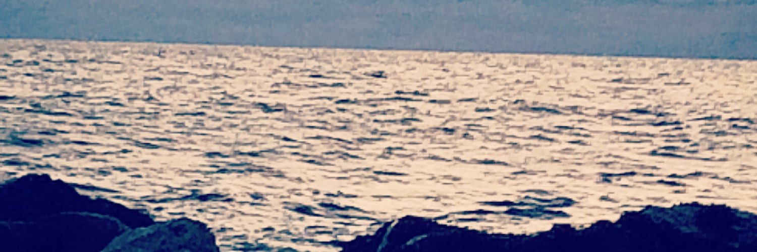 ngrod13's profile banner image