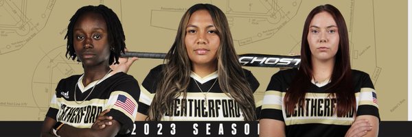 CoyotesDen Profile Banner