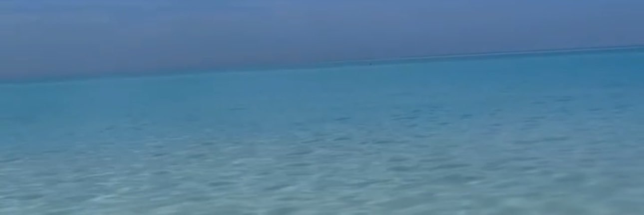 trutknowledge's profile banner image