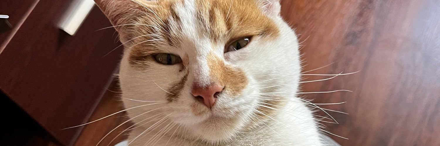 TheRealFrankey's profile banner image