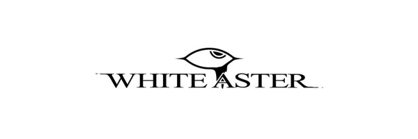 WHITE ASTER Profile Banner