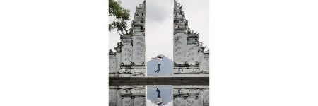 DrewWin🇮🇩🌹🐱🐢🐸 banner