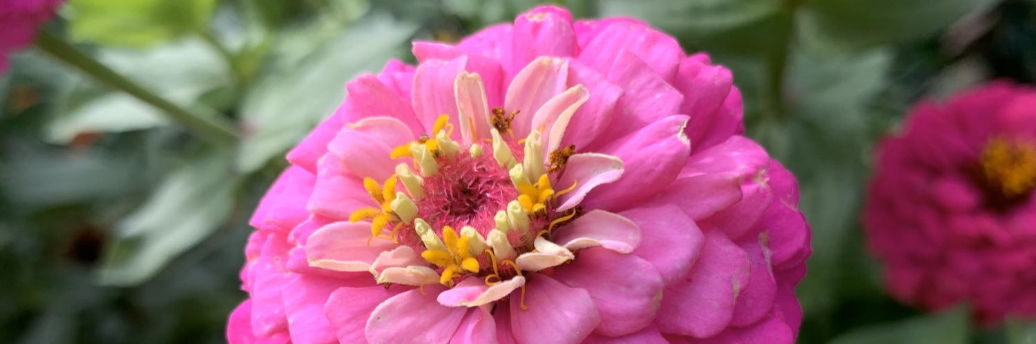 Valerie Gobao banner