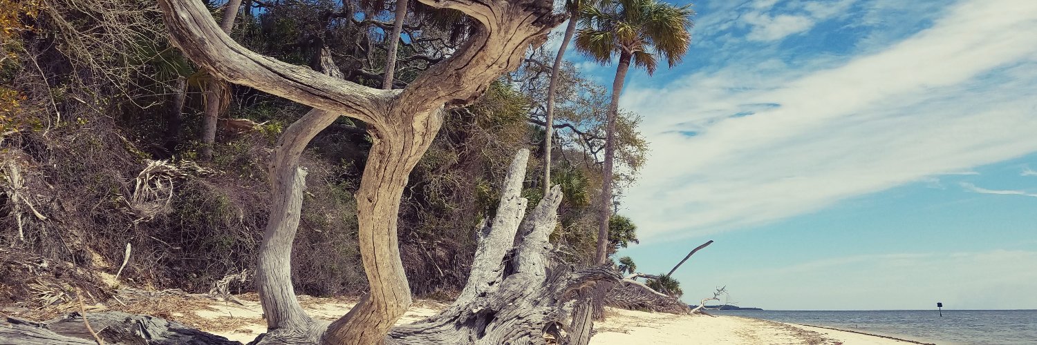 samgmurr's profile banner image