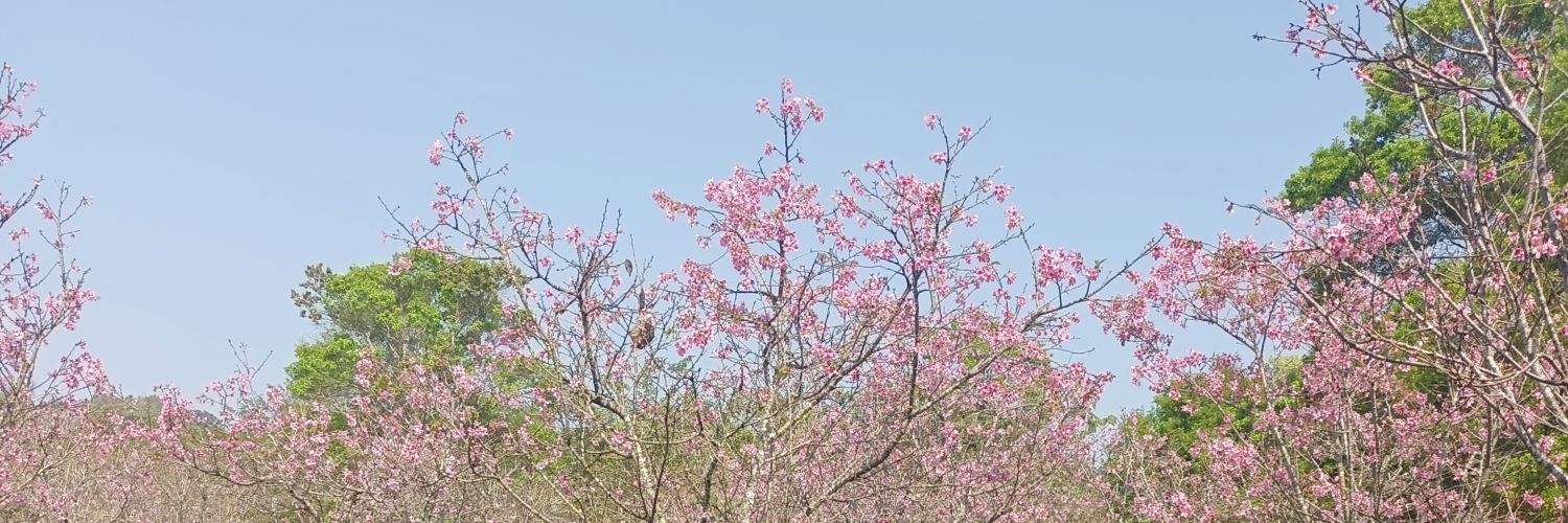 wart802's profile banner image