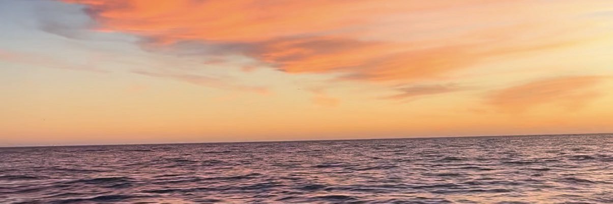 jssicamarques28's profile banner image