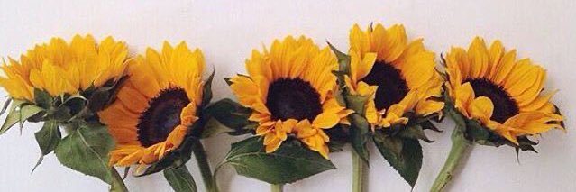 cansss____'s profile banner image