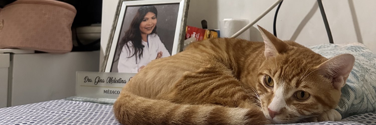 soyinam's profile banner image