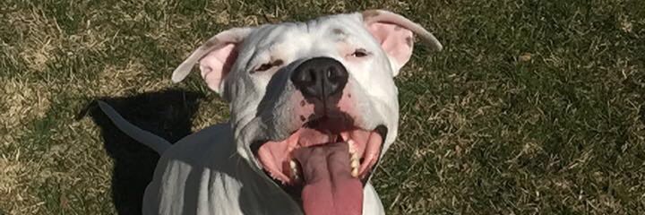 gregihernandez's profile banner image