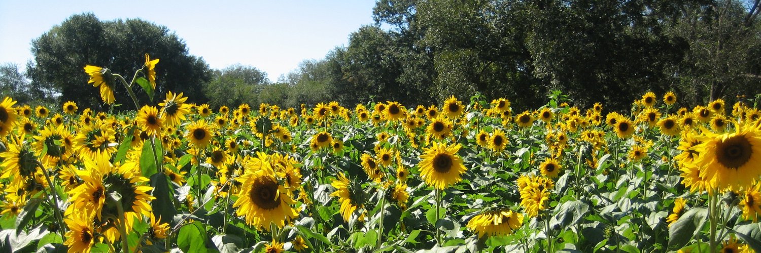 Emory Prevention Research Center banner