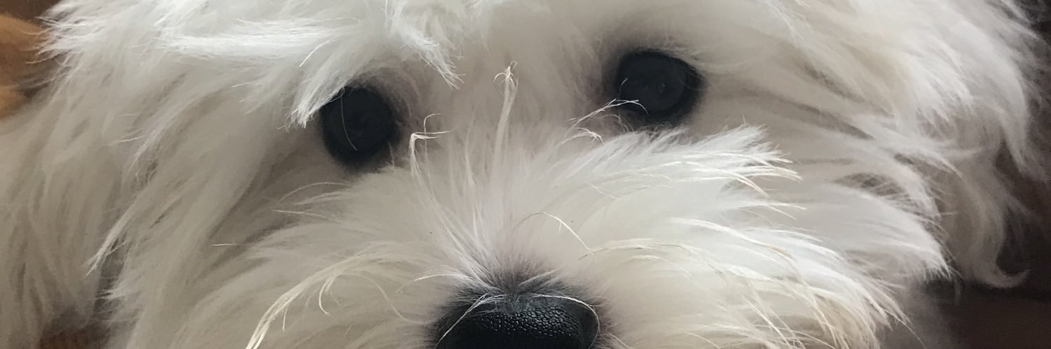 hgursac's profile banner image