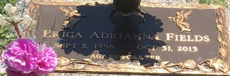 RIP_Erica17's profile banner image