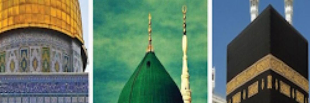 41Aboody's profile banner image