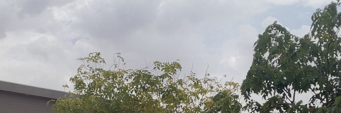 liveeDark's profile banner image