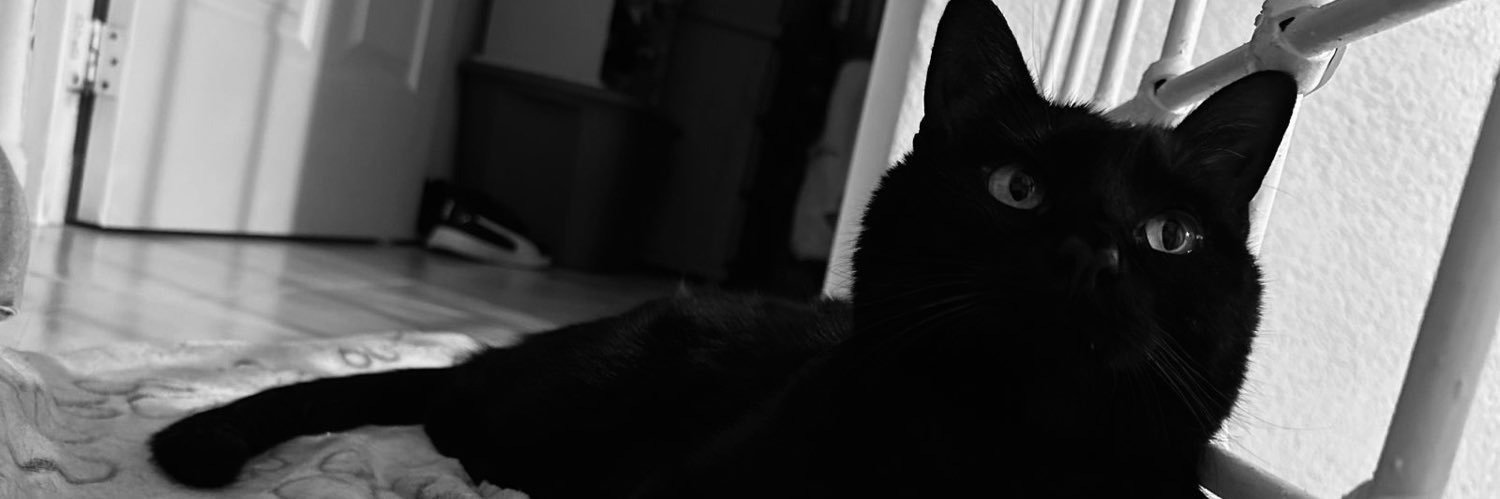 SebastianS2001's profile banner image