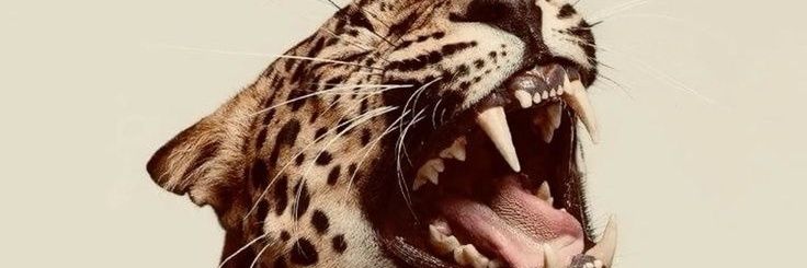 IMello00's profile banner image