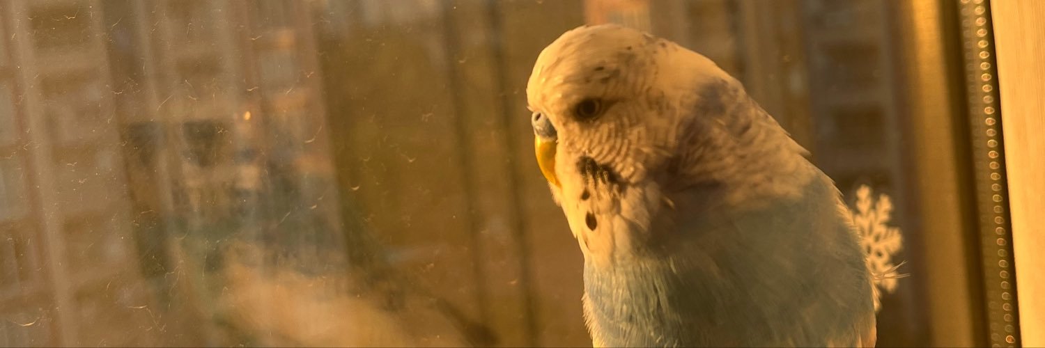 drbeigek's profile banner image
