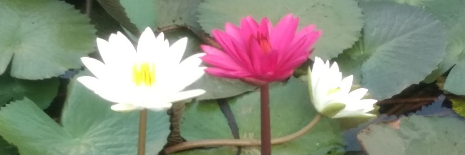 Nirogi VSS Ram murty banner