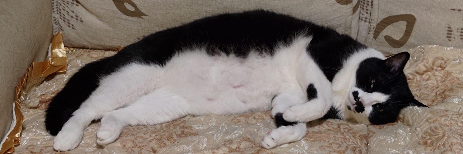 theoldcat2003's profile banner image