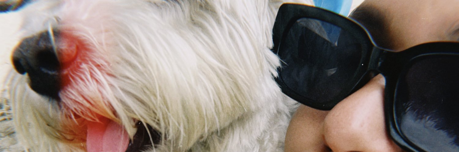 Alejandra Torres banner