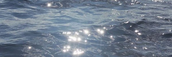 ravenxnyx Profile Banner