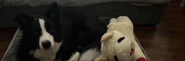 Josh__Heil Profile Banner